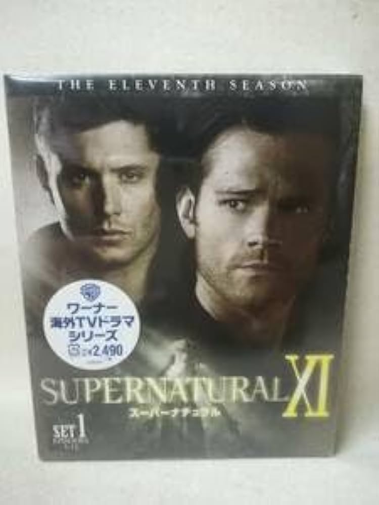 SUPERNATURAL スーパーナチュラル DVD シーズン11